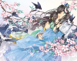 铁牛tv永不翻车茄子